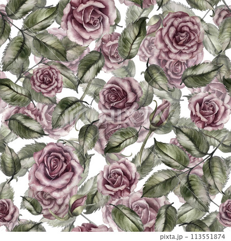 Seamless floral pattern of pink powder roses as watercolor illustration in vintage style for wedding, birthday, valentine's day, mother's day, textile, bedding, packaging, scrapbooking, wrapping, card 113551874