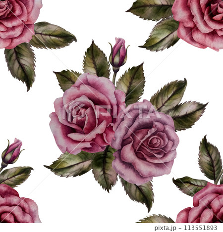 Seamless floral pattern of pink powder roses as watercolor illustration in vintage style for wedding, birthday, valentine's day, mother's day, textile, bedding, packaging, scrapbooking, wrapping, card 113551893