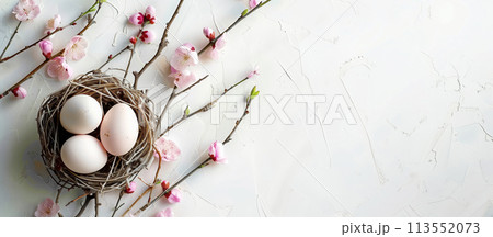 梅の花と巣の中の鳥の卵 113552073