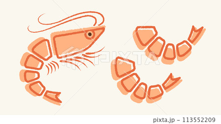 Vector illustration of shrimp in flat style. 113552209