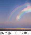 空に二つの虹が並行して掛かっているイラスト 113553036