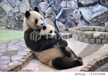 子供を抱っこする良浜ママ 113553486