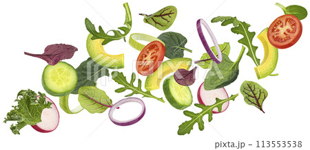 Vegetable salad leaves mix isolated, falling green salad with rucola, lettuce, chard, spinach and beets leaves on white background Vegetable salad leaves mix isolated, falling green salad with rucola, lettuce, chard, spinach and beets leaves on white background 113553538