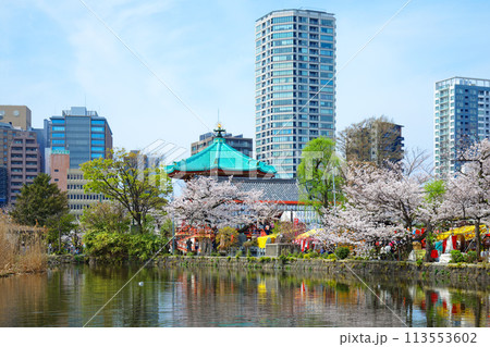上野不忍池の弁天堂と満開の桜 113553602