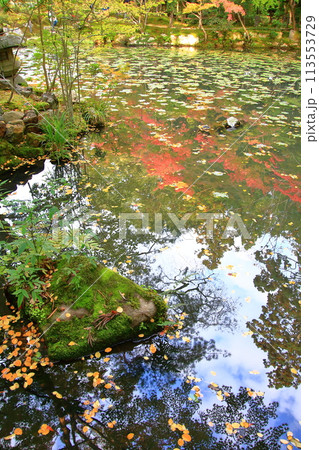 京都の紅葉 南禅寺天授庵 京都の紅葉 南禅寺天授庵 113553729