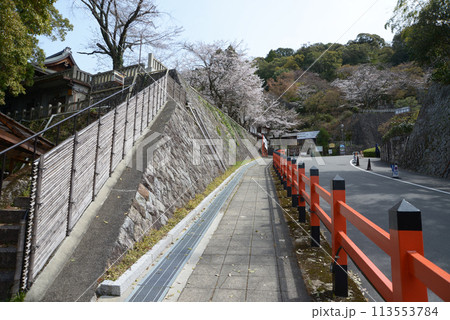 京都霊山護国神社　参道　京都市東山区 113553784