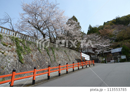 京都霊山護国神社　参道　京都市東山区 113553785