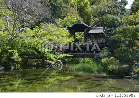 春の渉成園 回棹廊 京都市下京区 春の渉成園 回棹廊 京都市下京区 113553908