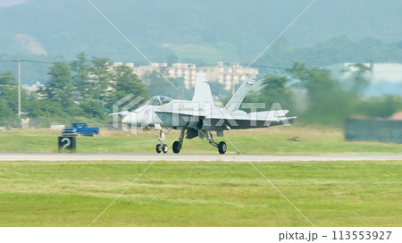アメリカ海軍F/A-18Cホーネットの着陸 113553927