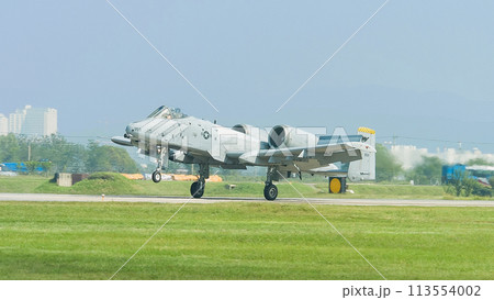 着陸するアメリカ空軍A-10AサンダーボルトⅡ攻撃機 113554002
