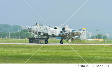 着陸するアメリカ空軍A-10AサンダーボルトⅡ攻撃機 着陸するアメリカ空軍A-10AサンダーボルトⅡ攻撃機 113554003