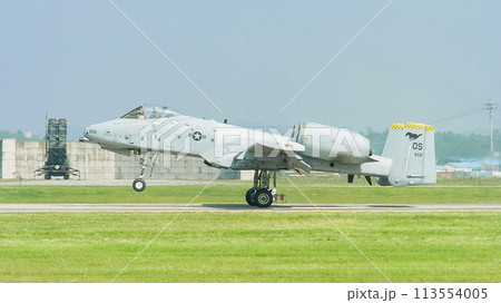 着陸するアメリカ空軍A-10AサンダーボルトⅡ攻撃機 113554005