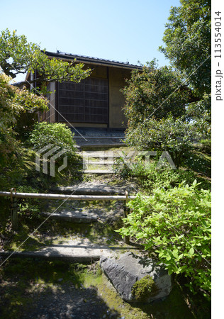 春の渉成園　縮遠亭　京都市下京区 113554014