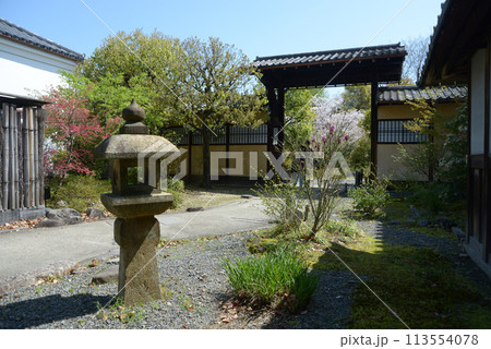 春の渉成園　庭園入口の門　京都市下京区 113554078