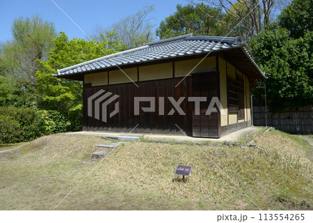 春の渉成園　代笠席　京都市下京区 113554265