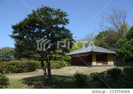 春の渉成園 代笠席 京都市下京区 春の渉成園 代笠席 京都市下京区 113554268