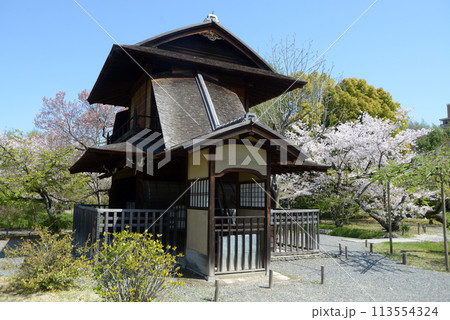 春の渉成園　傍花閣と桜　京都市下京区 113554324