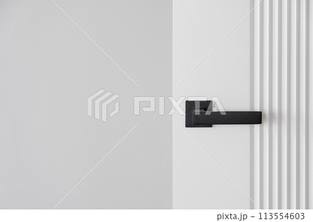 Modern black door handle on white wooden door in interior. Knob close-up elements. Door handle, fittings for interior design. Element of interior design 113554603