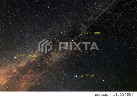 夏の星空 天の川の夏の大三角と白鳥座 夏の星空 天の川の夏の大三角と白鳥座 113554867