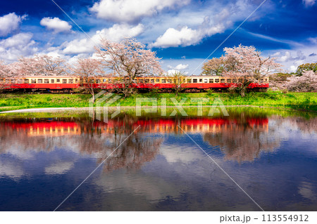 水面に反射する千葉の小湊鐵道と春の桜 113554912