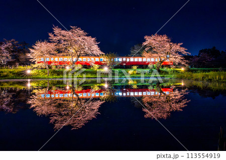水面に反射する千葉の小湊鐵道の夜景と春の桜 水面に反射する千葉の小湊鐵道の夜景と春の桜 113554919