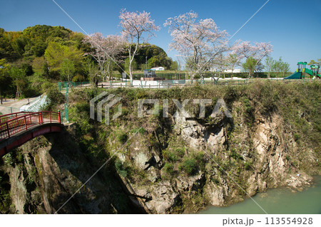 大井関公園 (ろじ渓)  【大阪府泉佐野市日根野】 113554928