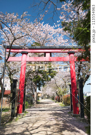 日根神社(鳥居) 【大阪府泉佐野市日根野】 日根神社(鳥居) 【大阪府泉佐野市日根野】 113554963