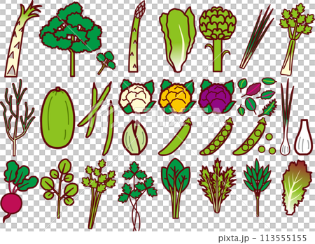 Vegetable set 3 113555155