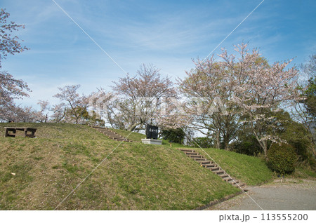 最初ヶ峰(百合山) 【和歌山県紀の川市】 最初ヶ峰(百合山) 【和歌山県紀の川市】 113555200