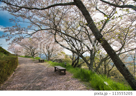 最初ヶ峰(百合山)　【和歌山県紀の川市】 113555205