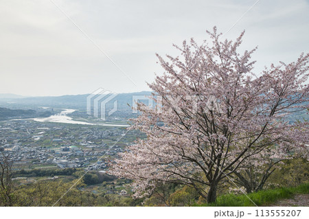 最初ヶ峰(百合山)から紀ノ川を望む　【和歌山県紀の川市】 113555207