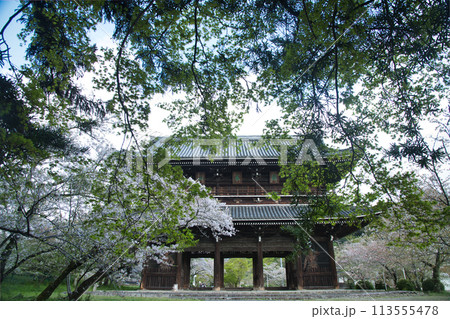 総本山根來寺(大門)　【和歌山県岩出市根来】 113555478