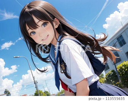 さわやかな笑顔のかわいい女子高生 113555635