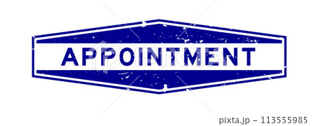 Grunge blue appointment word hexagon rubber seal stamp on white background 113555985