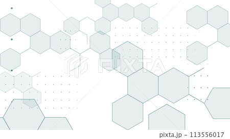 抽象的な化学六角形の背景 113556017