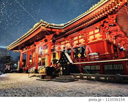 雪の日の浅草寺(本堂) 雪の日の浅草寺(本堂) 113556154