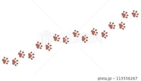 動物の足跡　肉球 113556267