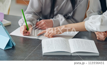 勉強を教わる女の子 勉強を教わる女の子 113556431