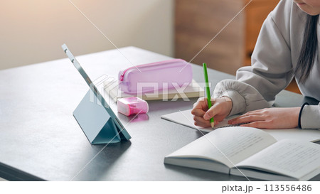 タブレットを見ながら勉強する女の子 113556486