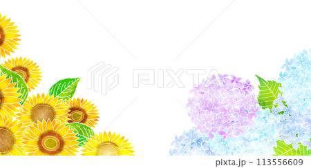 あじさい　梅雨　夏　水彩　背景	 113556609
