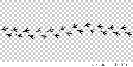 Bird's footprint 113556755