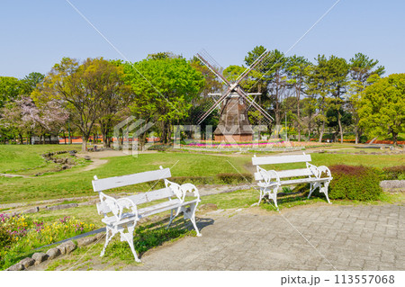 春の名城公園の白いベンチと風車(名古屋市北区) 春の名城公園の白いベンチと風車(名古屋市北区) 113557068