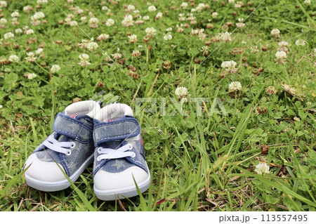 公園にお散歩に行く 113557495