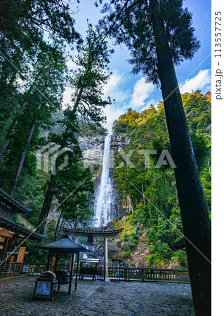 早春の那智の滝 早春の那智の滝 113557725