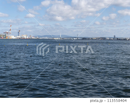 コスモスクエア海浜緑地から見る大阪港 コスモスクエア海浜緑地から見る大阪港 113558404