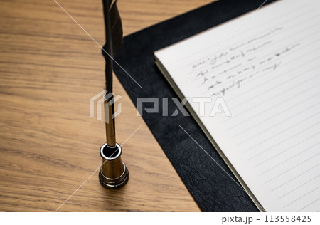 Image photo 113558425