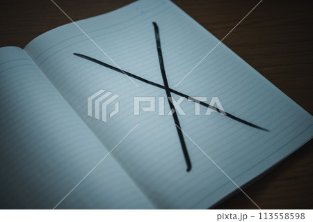 Image photo 113558598