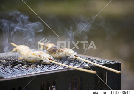 バーベキューで鮎の塩焼きをするイメージ バーベキューで鮎の塩焼きをするイメージ 113558646