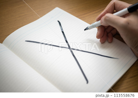 Image photo Image photo 113558676