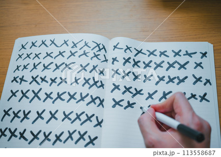 ノートに記す 113558687
